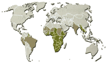 HIV / AIDS in world